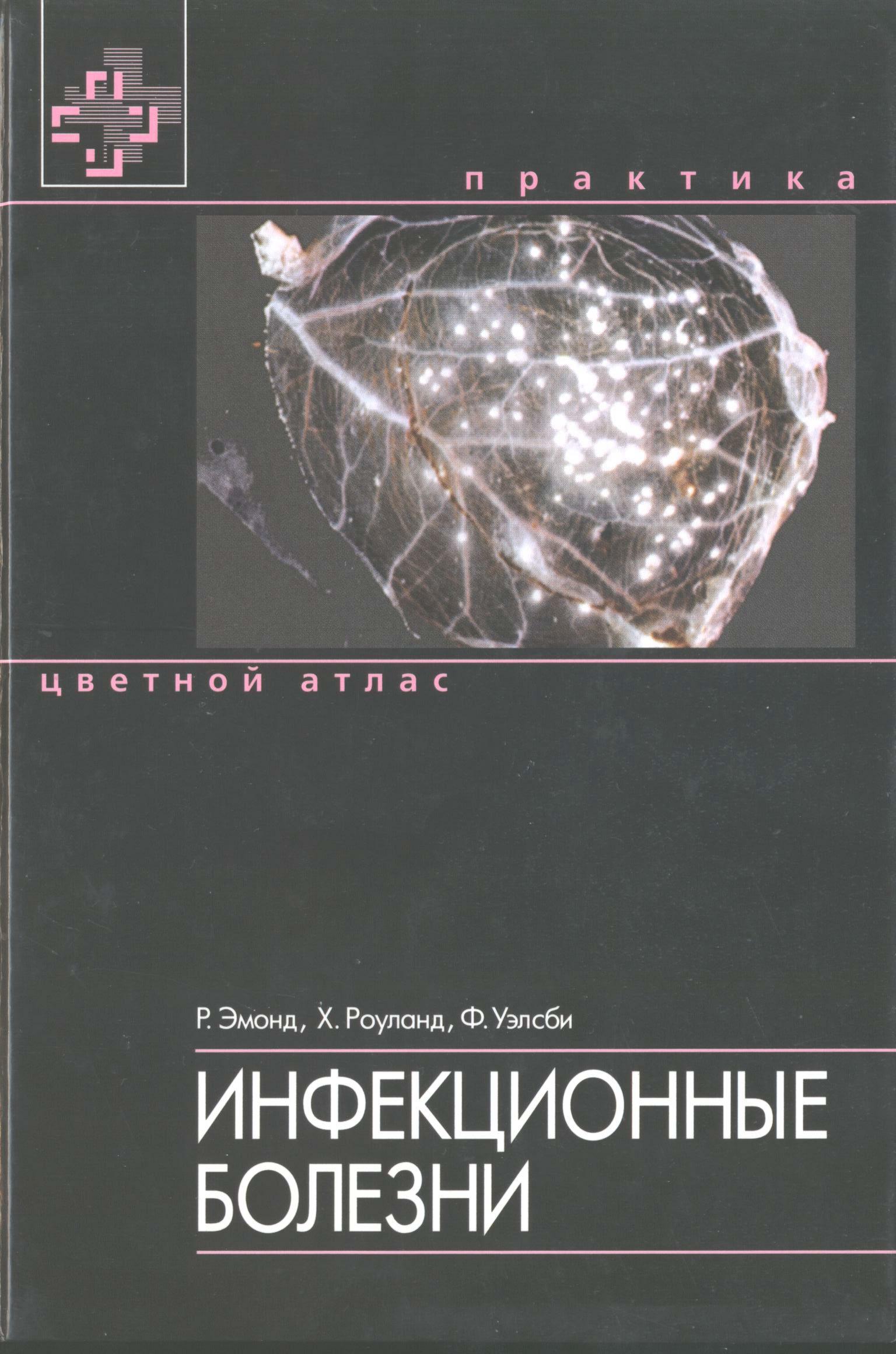 Mein kampf русском читать