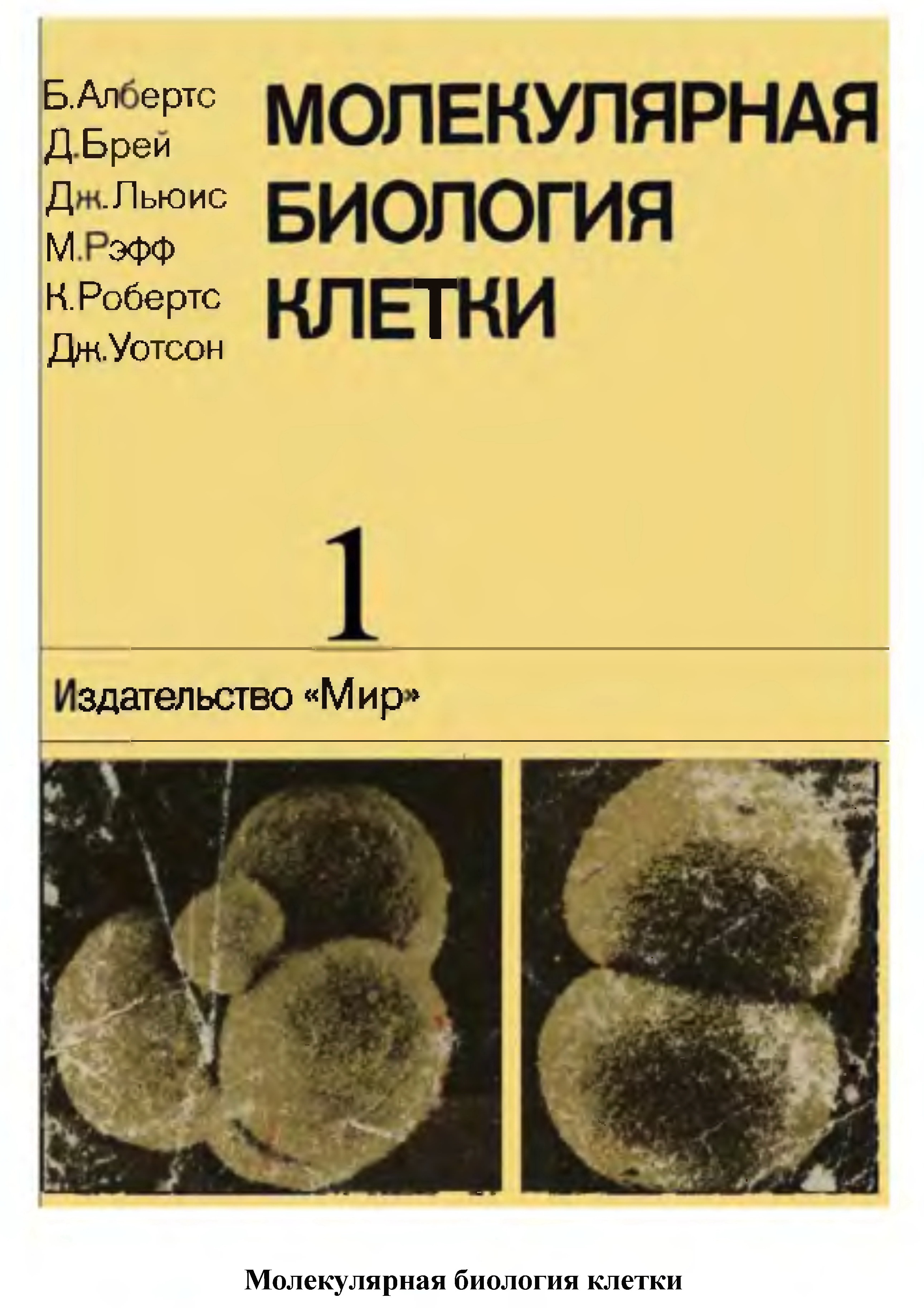 основы молекулярной биологии клетки альбертс скачать