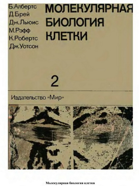 молекулярная биология клетки альбертс скачать pdf