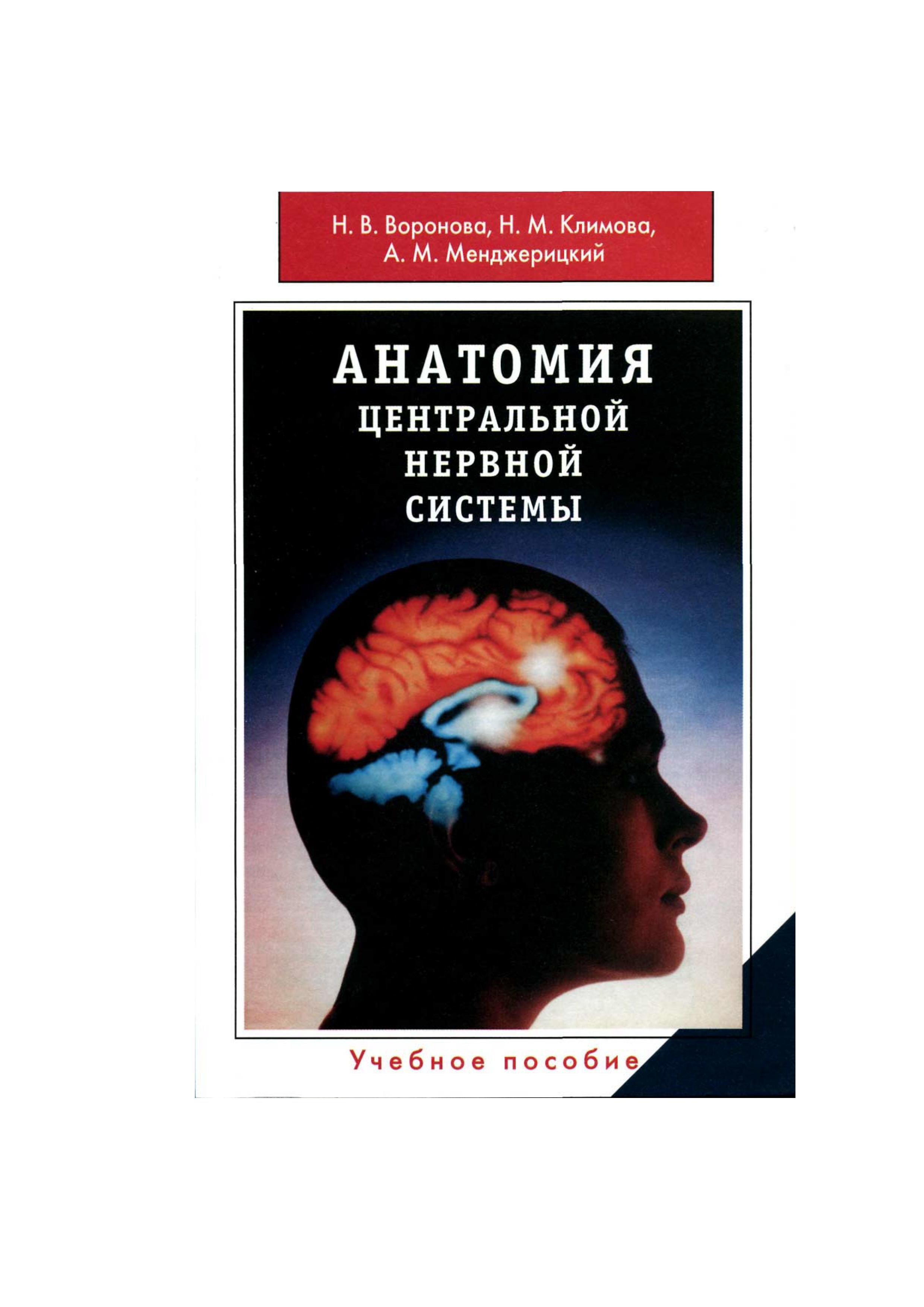 Анатомия центральной нервной системы: Учебное пособие для студентов